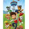 Paw Patrol handdoek team 70 x 140 cm - polyester