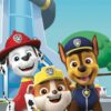 Paw Patrol strandlaken One Team 70 x 140 cm