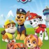 Paw Patrol strandlaken Great Job Pups 70 x 140 cm