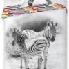 Animal Pictures Zebra - Dekbedovertrek - Eenpersoons - 140 x 200 cm - Multi